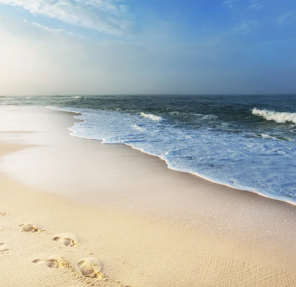 Beach — Stock Photo, Image