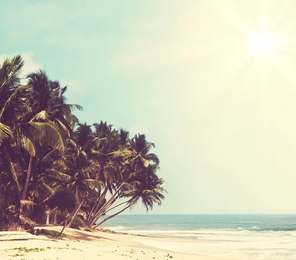 Spiaggia tropicale — Foto Stock