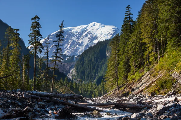 Il Monte Rainier — Foto Stock