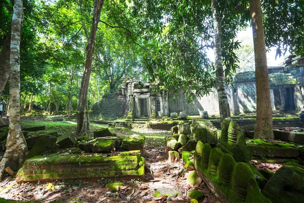 Angkor — Stock fotografie