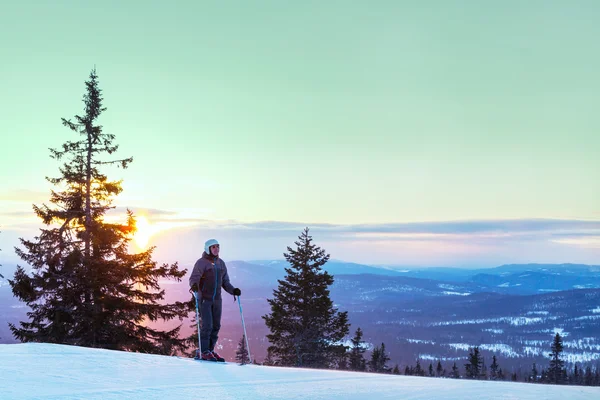 Skier — Stock Photo, Image