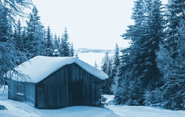 冬天的小屋 — 图库照片