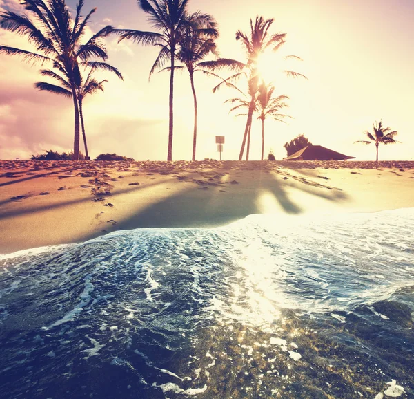 Tropical beach — Stock Photo, Image