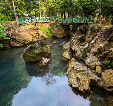 büyüme grafiği yeşil kara tahta gösterilen