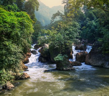 Vietnam'daki nehir