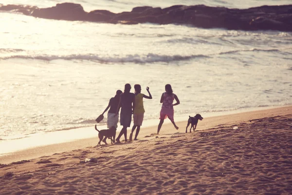 Strand op sri lanka — Stockfoto