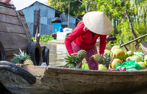 Mekongdeltat — Stockfoto