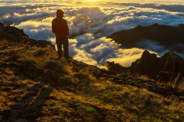Hike in Madeira — Stock Photo, Image