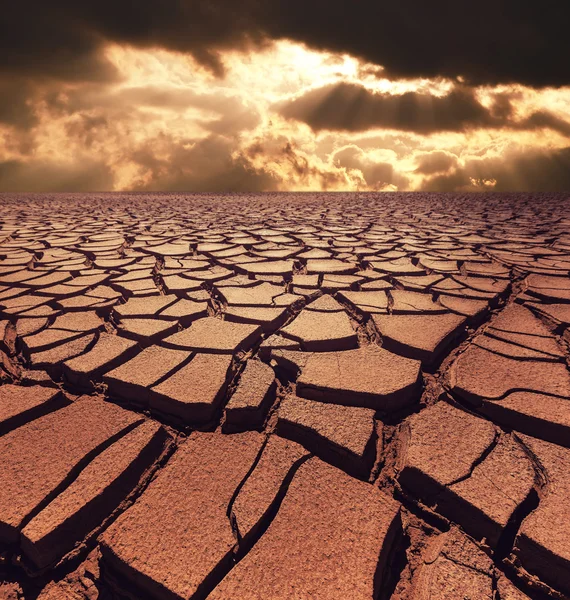 Drought — Stock Photo, Image