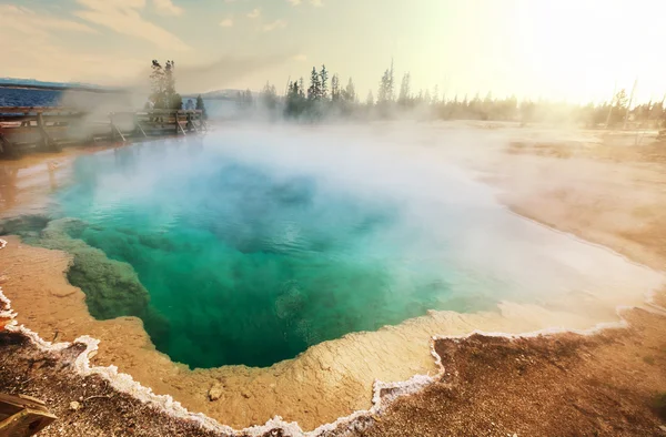 Yellowstone — Stock fotografie