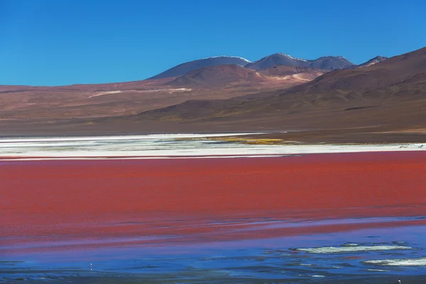 Berge in Bolivien — Stockfoto