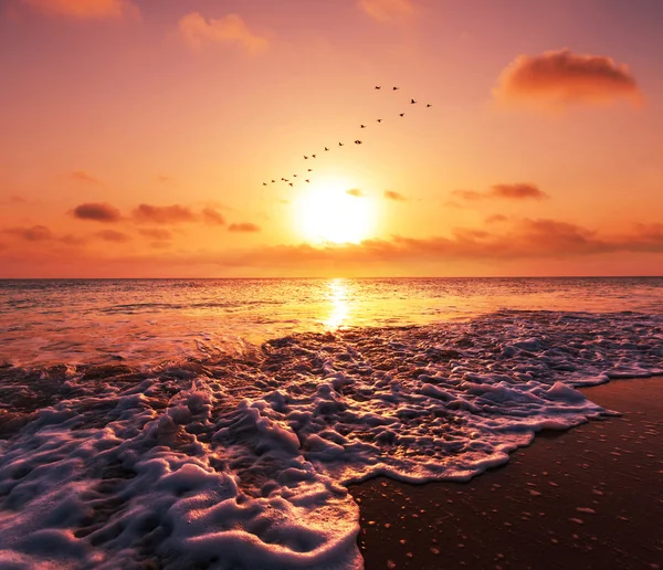 Sea sunset — Stock Photo, Image