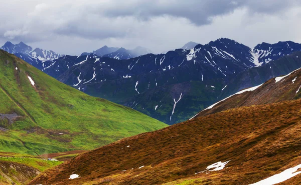 Bergen op alaska — Stockfoto