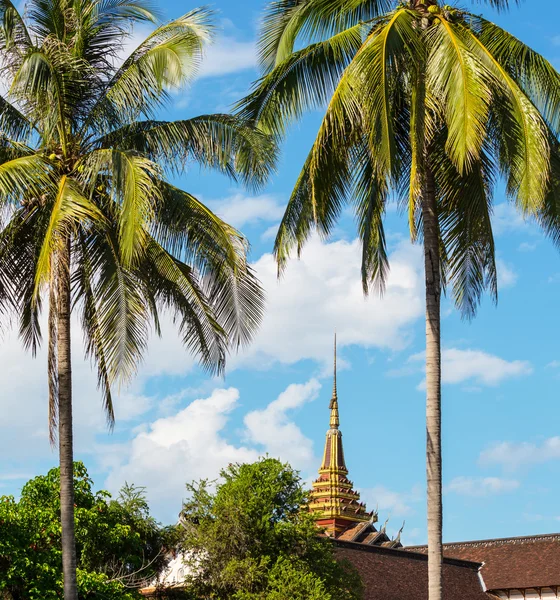 Tempel in Laos — Stockfoto