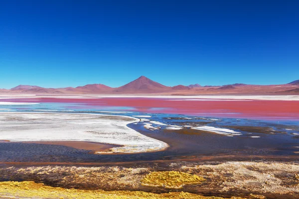 Bergen in bolivia — Stockfoto