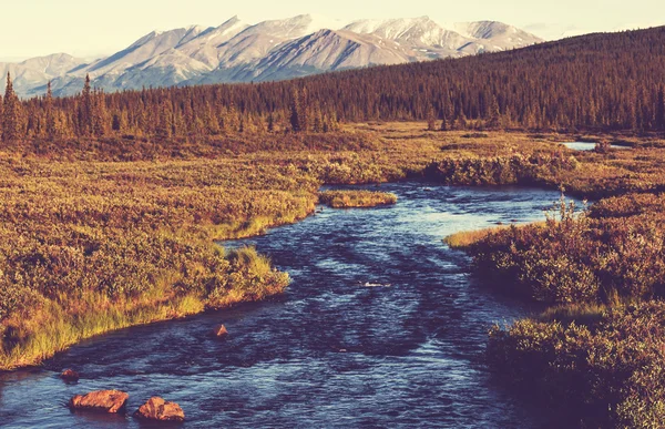 Río en Alaska — Foto de Stock