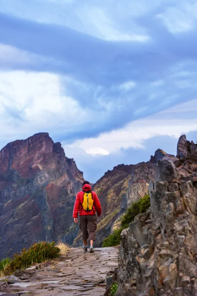 Berg i madeira — Stockfoto