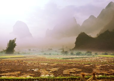 Vietnam manzaraları