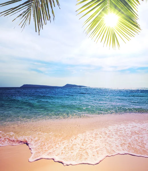 Spiaggia tropicale — Foto Stock