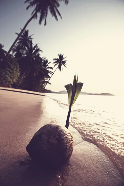 Playa tropical — Foto de Stock