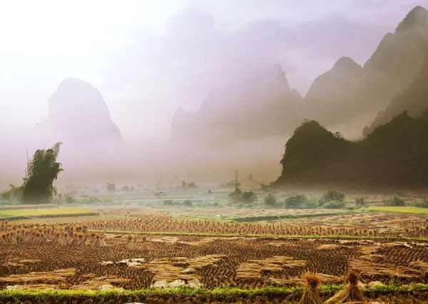 Vietnam manzaraları — Stok fotoğraf