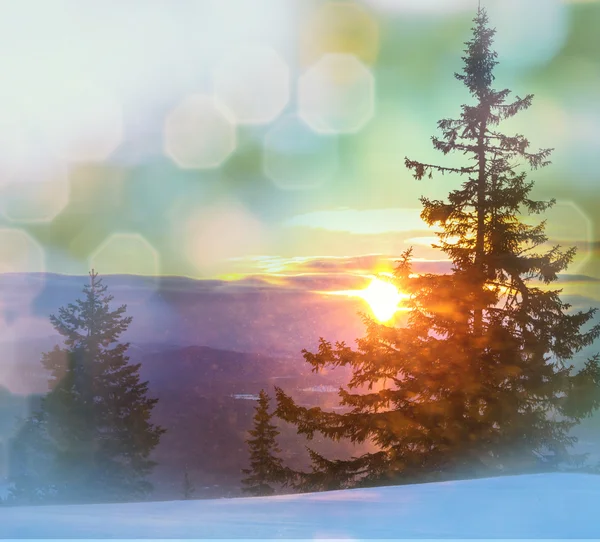 Winter mountains — Stock Photo, Image