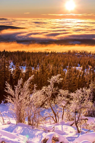 Montagne invernali — Foto Stock