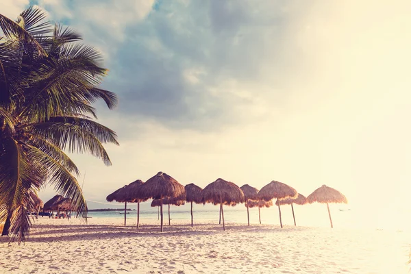 Playa tropical en México — Foto de Stock