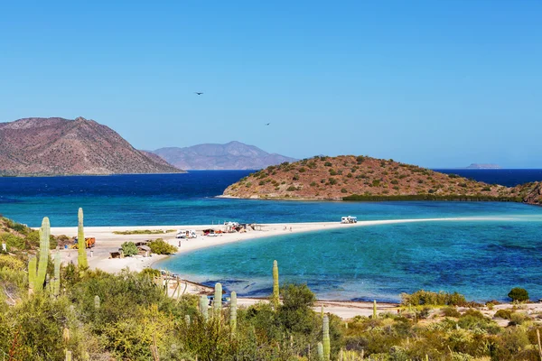 Baja California — Stockfoto