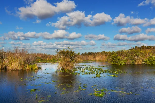 Florida landscapes Stock Picture