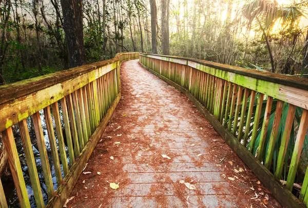 Boardwalk — Stock Photo, Image