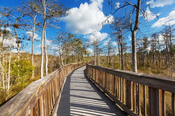 Boardwalk Boutique Hotel — Stockfoto