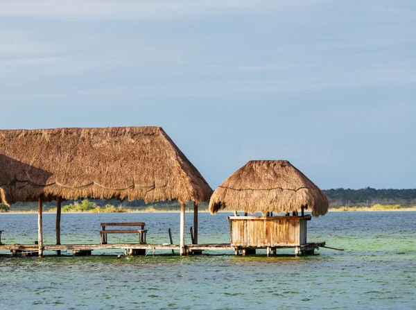 Palapa — Stock fotografie