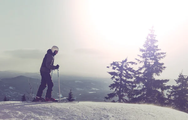 Skier — Stock Photo, Image