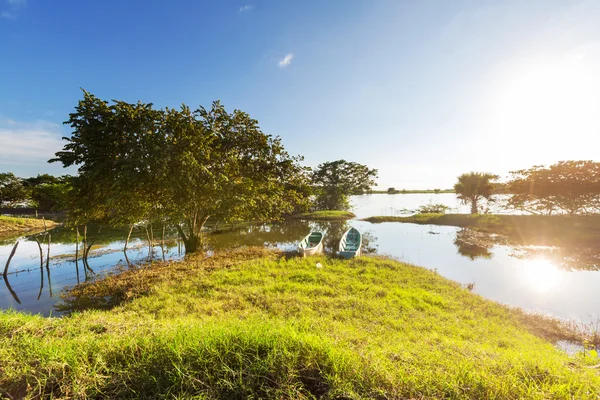 Campo inundado —  Fotos de Stock