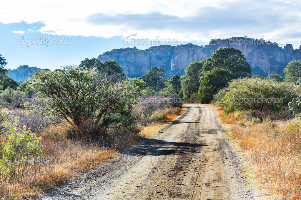 Road in mountains