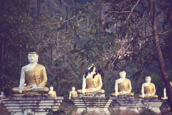 Buddhas Garten — Stockfoto