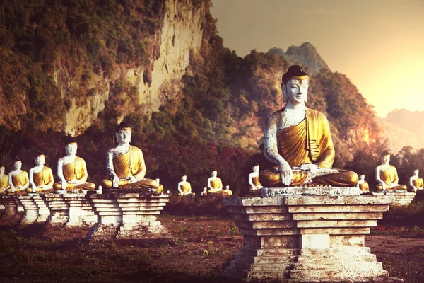 Buddhas trädgård — Stockfoto