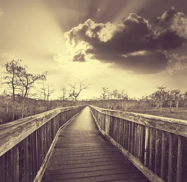 Passeio a pé no pântano — Fotografia de Stock