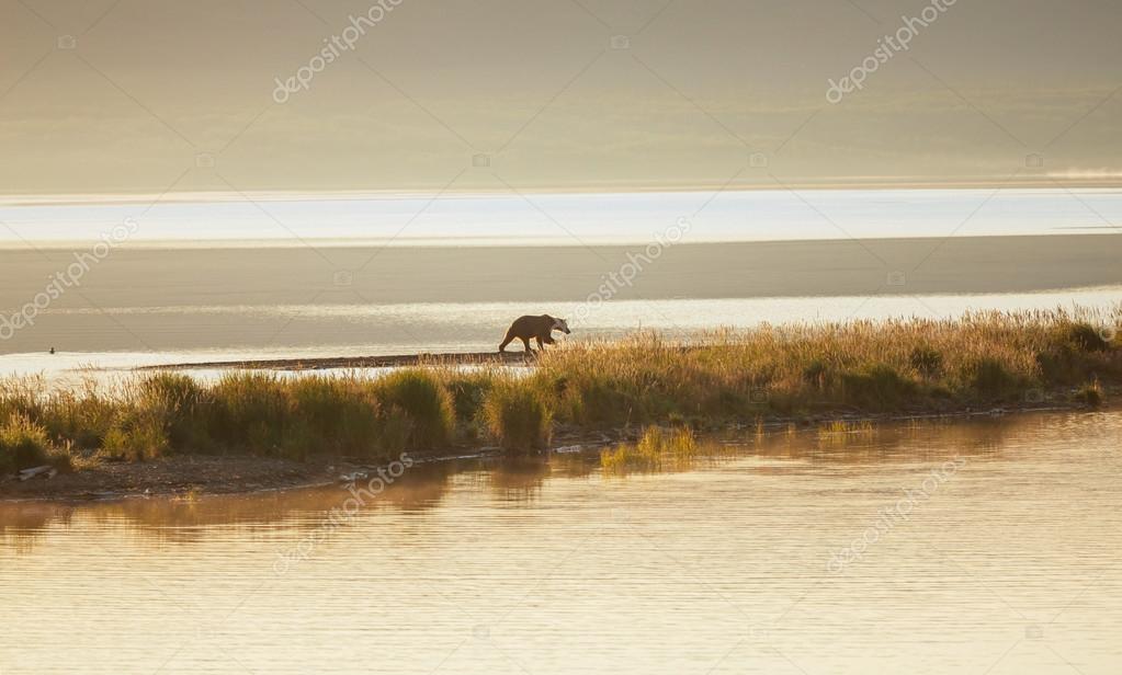 kamchatka