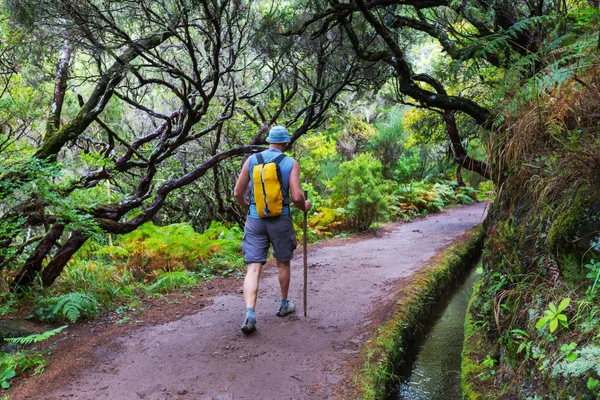 Caminhada na Madeira — Fotografia de Stock