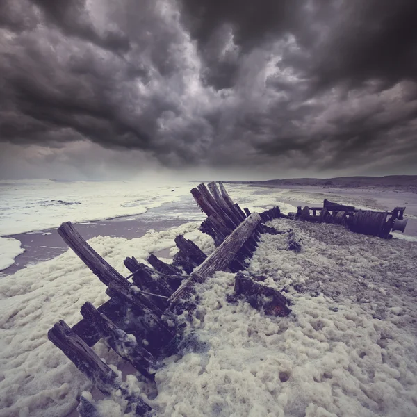 Sceleton tengerpart — Stock Fotó
