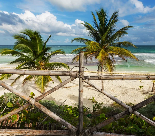 Tropisk strand — Stockfoto