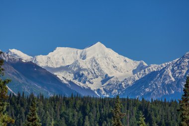 alaska Dağları