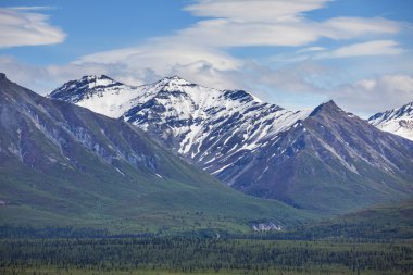 alaska Dağları