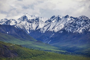 alaska Dağları
