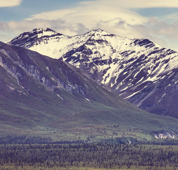 Die berge auf alaska — Stockfoto