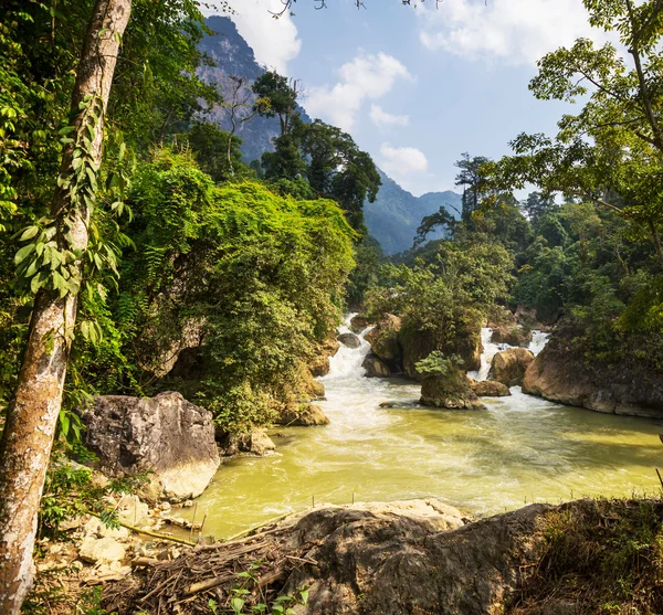 Fluss im Dschungel — Stockfoto