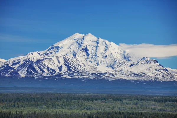 NP Alaska — Stok fotoğraf