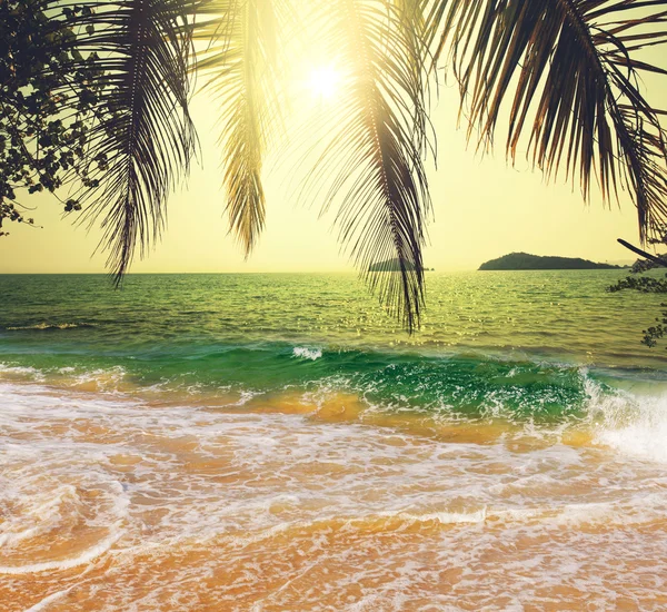 Tropical beach — Stock Photo, Image